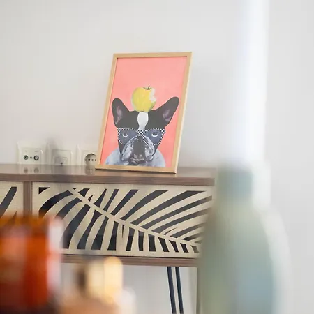 Santa Rosa Apartment